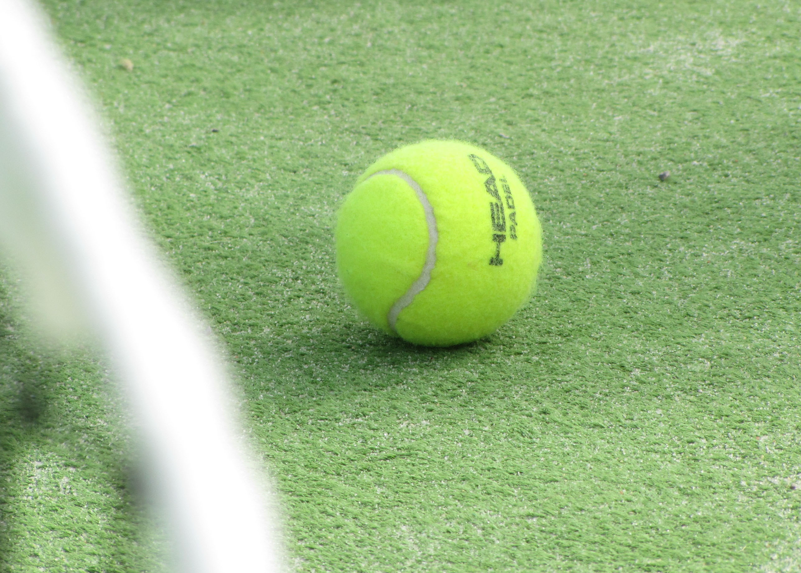 Día_de_padel_(4387262971).jpg