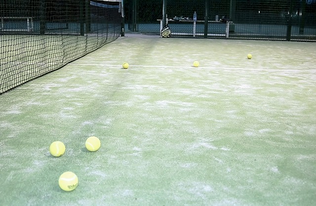 pista padel reglamentaria.jpg